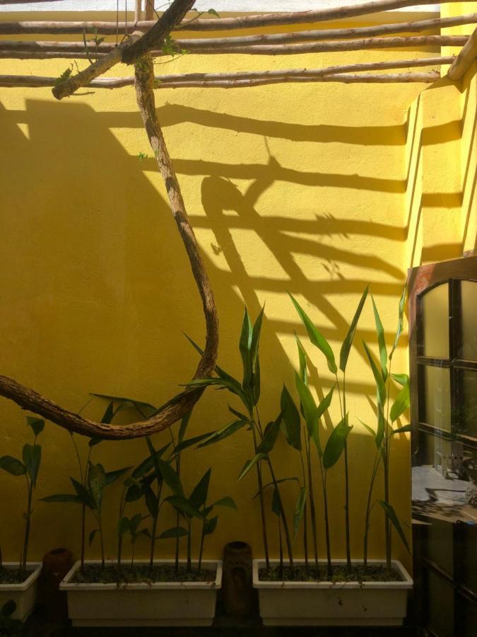 Leranda Homestay Hue Luaran gambar