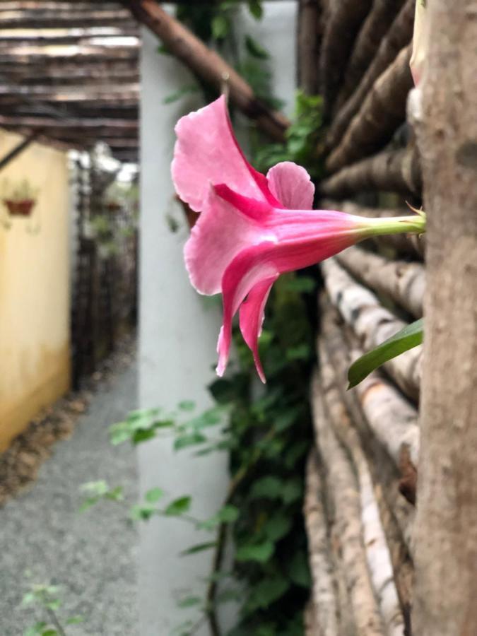 Leranda Homestay Hue Luaran gambar
